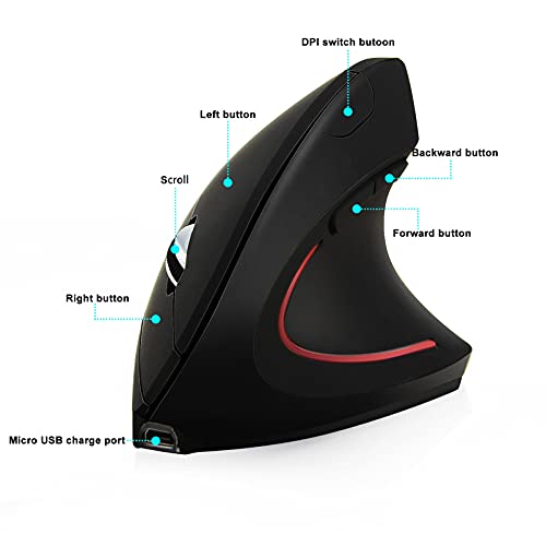 Souris