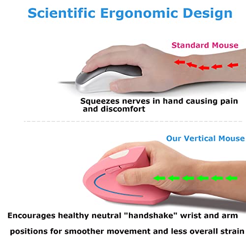 Souris sans fil ergonomique verticale souris Ergo – Image 2