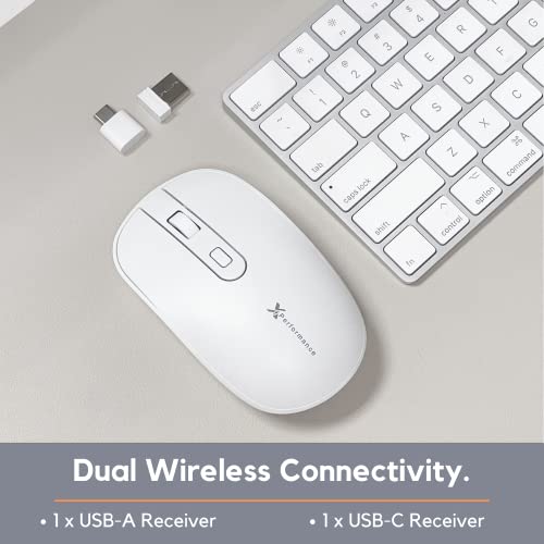 Souris USB C X9 Performance sans fil-2