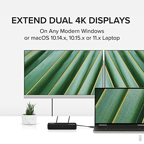 Adaptateur double moniteur 4K DisplayPort et HDMI – Image 2