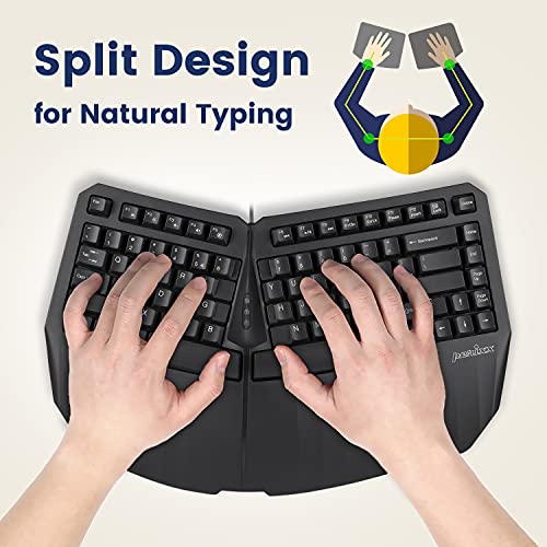 Clavier Splitté Compact Ergonomique