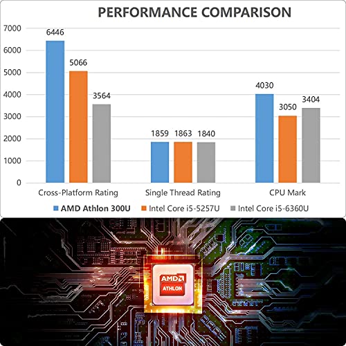 AMD 300U