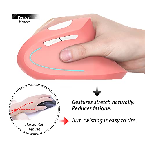 Souris verticale