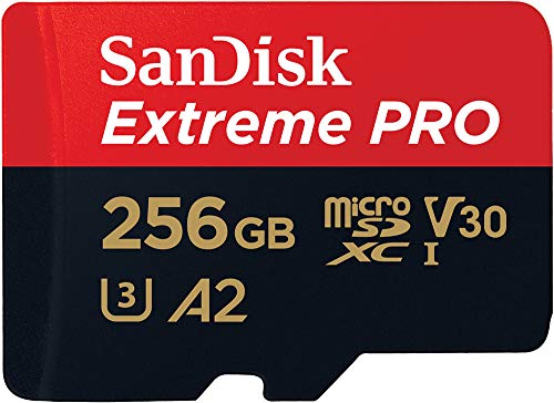 Carte mémoire microSD SanDisk 2 Go avec adaptateur Algeria