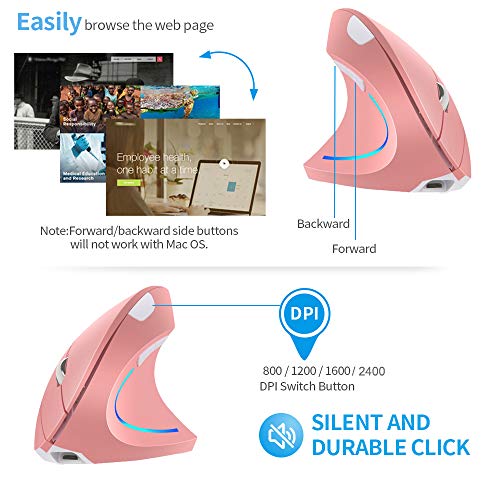 Souris verticale