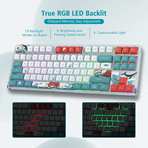 COSTOM XVX M87 TKL Clavier mécanique