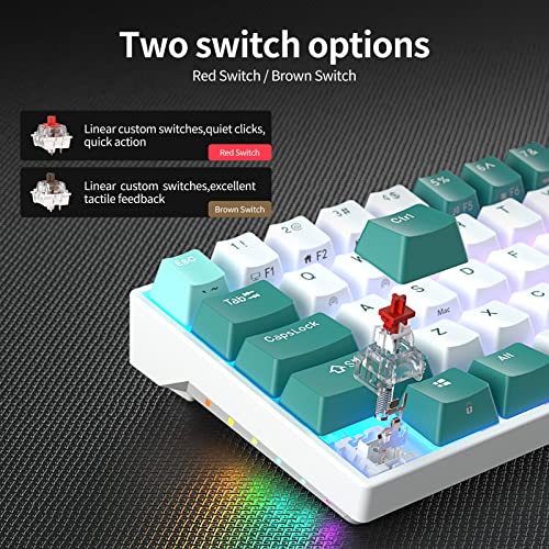 Clavier de jeu RK ROYAL KLUDGE RK71