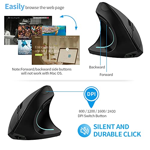 Souris verticale