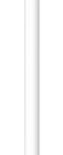 Apple Pencil (1ère génération)
