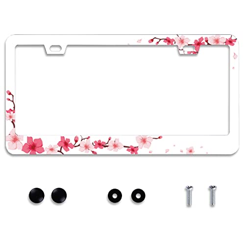 Lot De 2 Cadres De Plaque D'immatriculation Colorés En Inox - Avec Vis, Joints Et Outils - Norme US 4 Trous