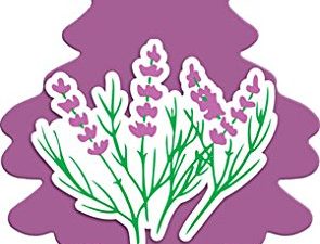 PETITS ARBRES Désodorisant pour voiture | Arbre