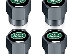 Bouchons de valve de pneu adaptés aux