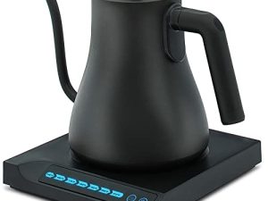 Petite bouilloire électrique pour café et thé