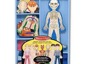 Melissa & Doug Ensemble de jeu d'anatomie