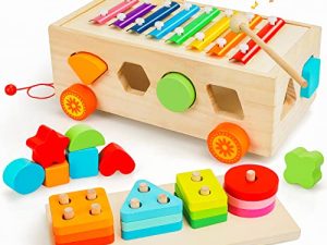Xylophone trieur de formes de vie TOY