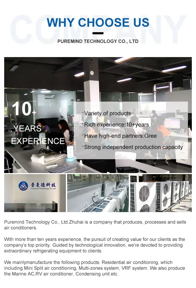 company intro