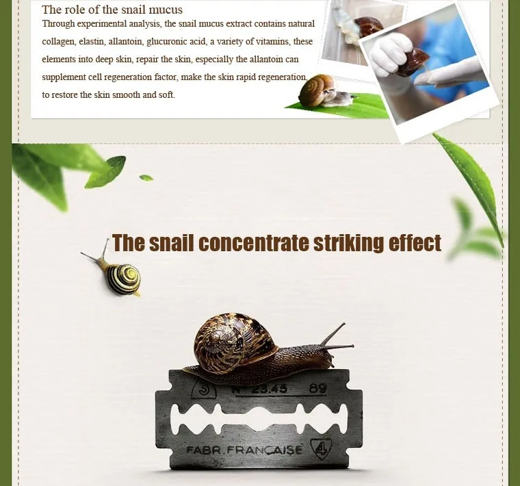CAICbiomomo-crème à base d'escargot