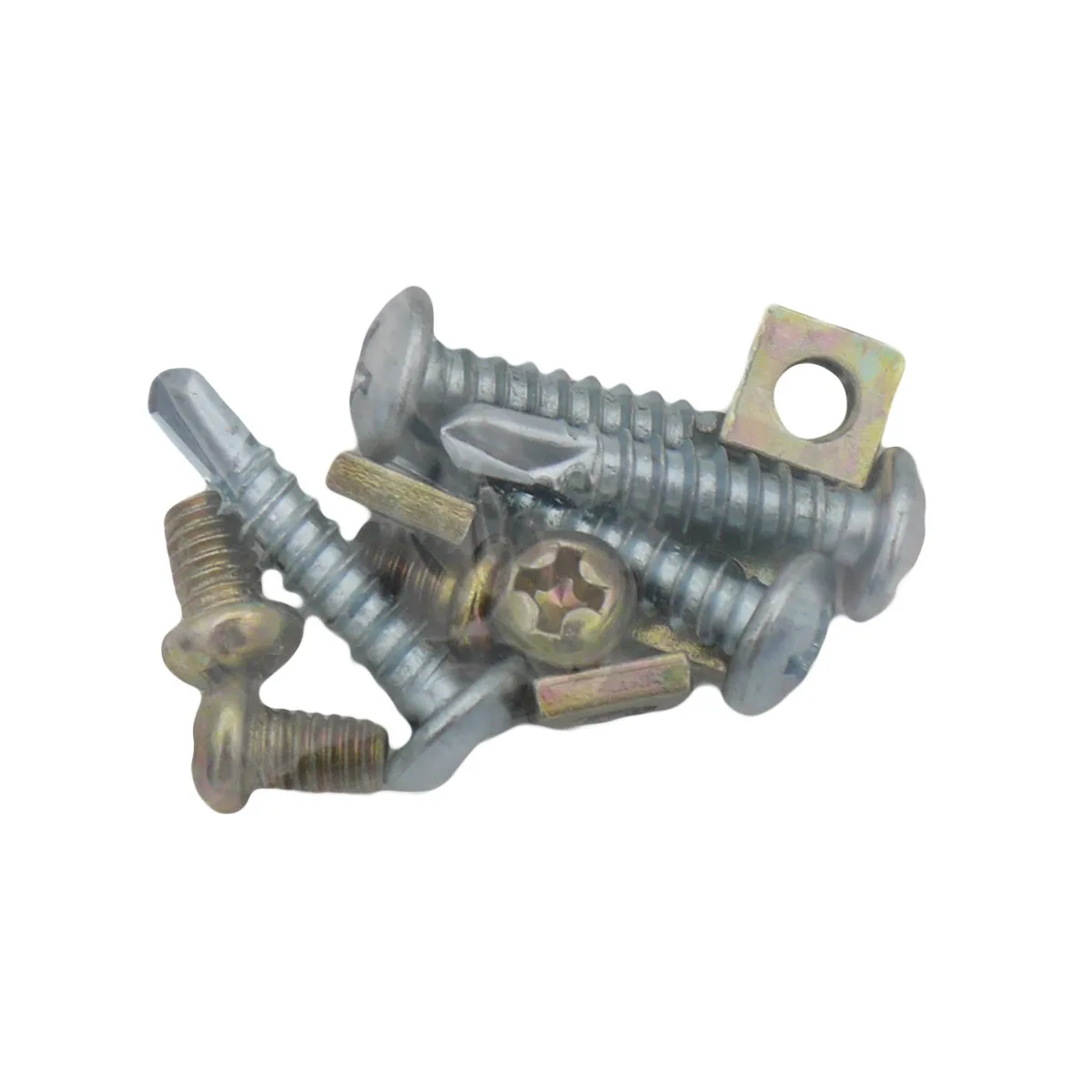 Image 11