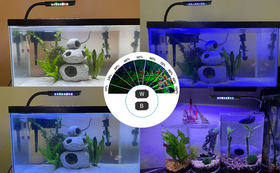 lighting modes