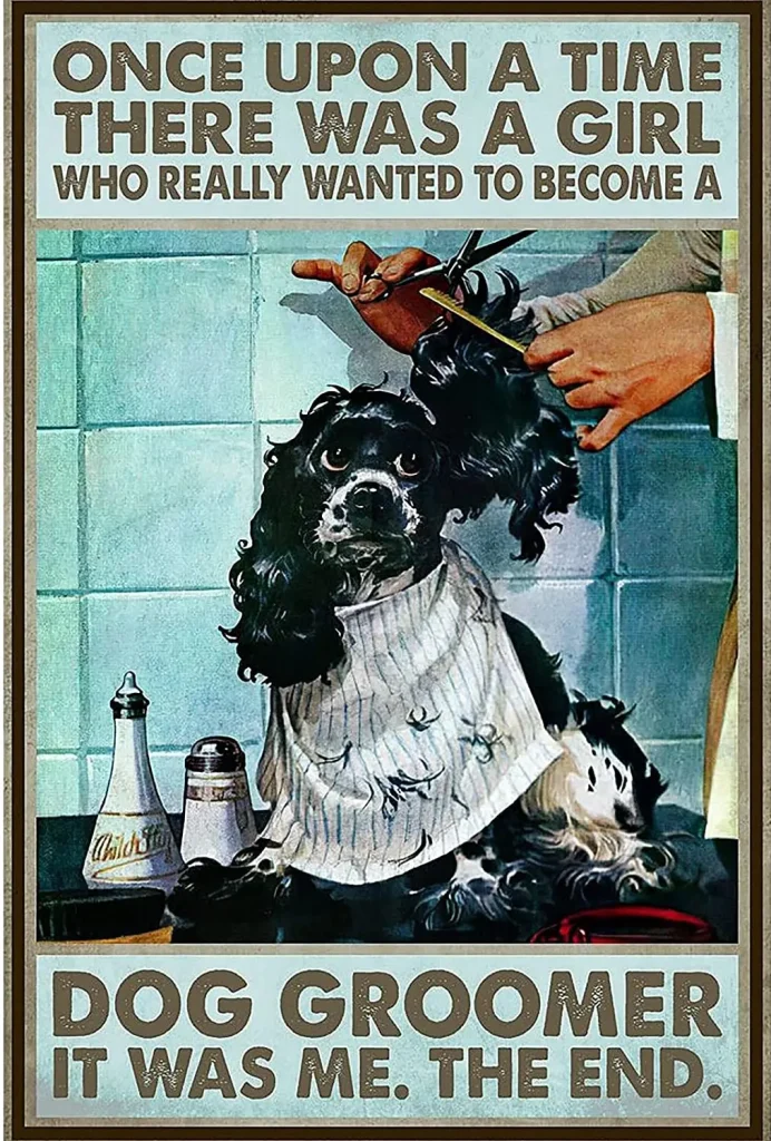 « Fille veut être toiletteur de chien » – Test et Avis