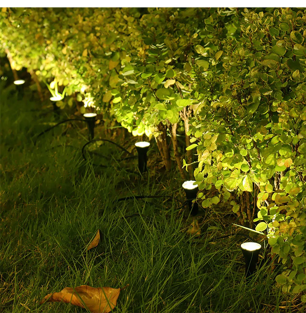 Vue nocturne 3